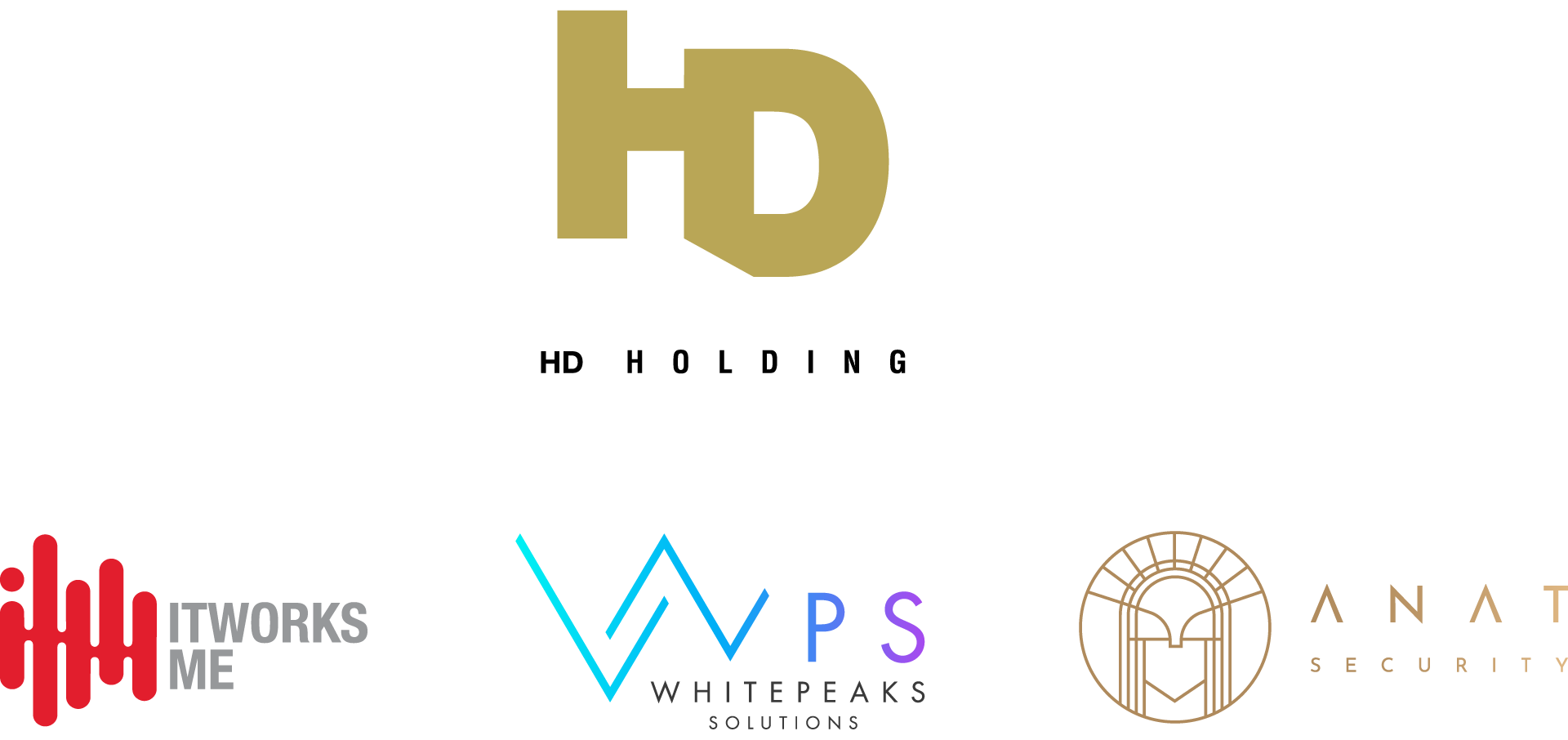 HD Holding, ITWORKS ME, WhitePeaks Solutions, ANAT Security